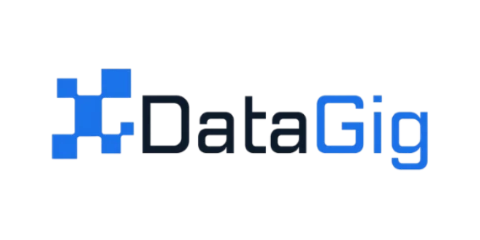 Logo DataGig